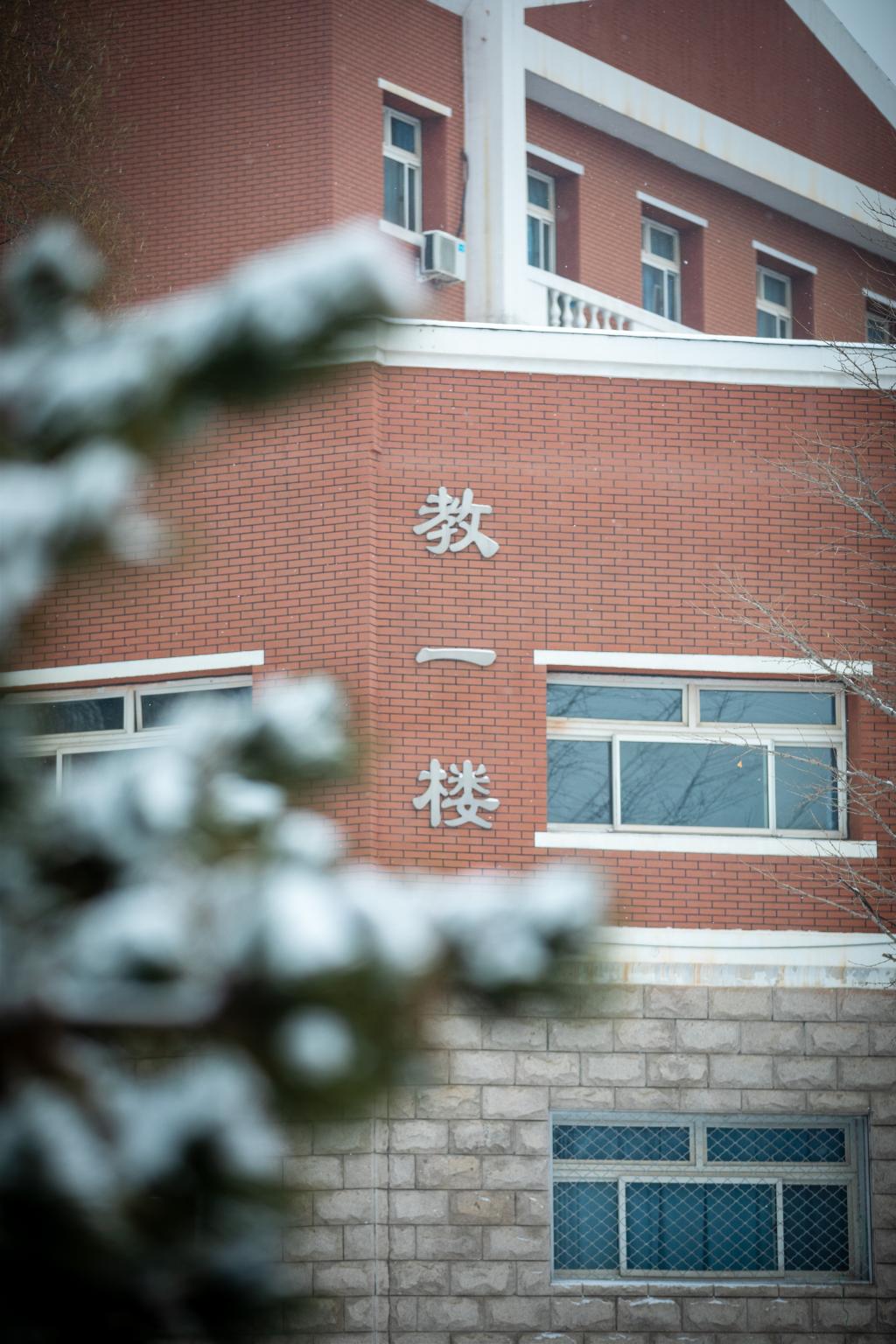 与春天的约定