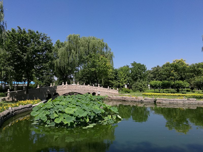 必赢电子游戏