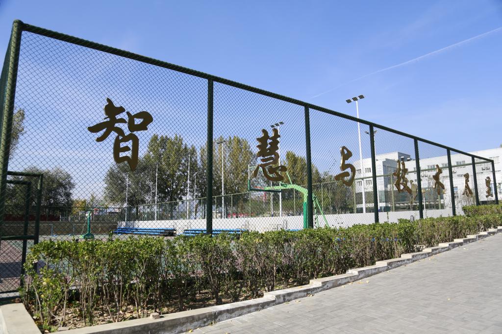必赢电子游戏娱乐体验手机版登录