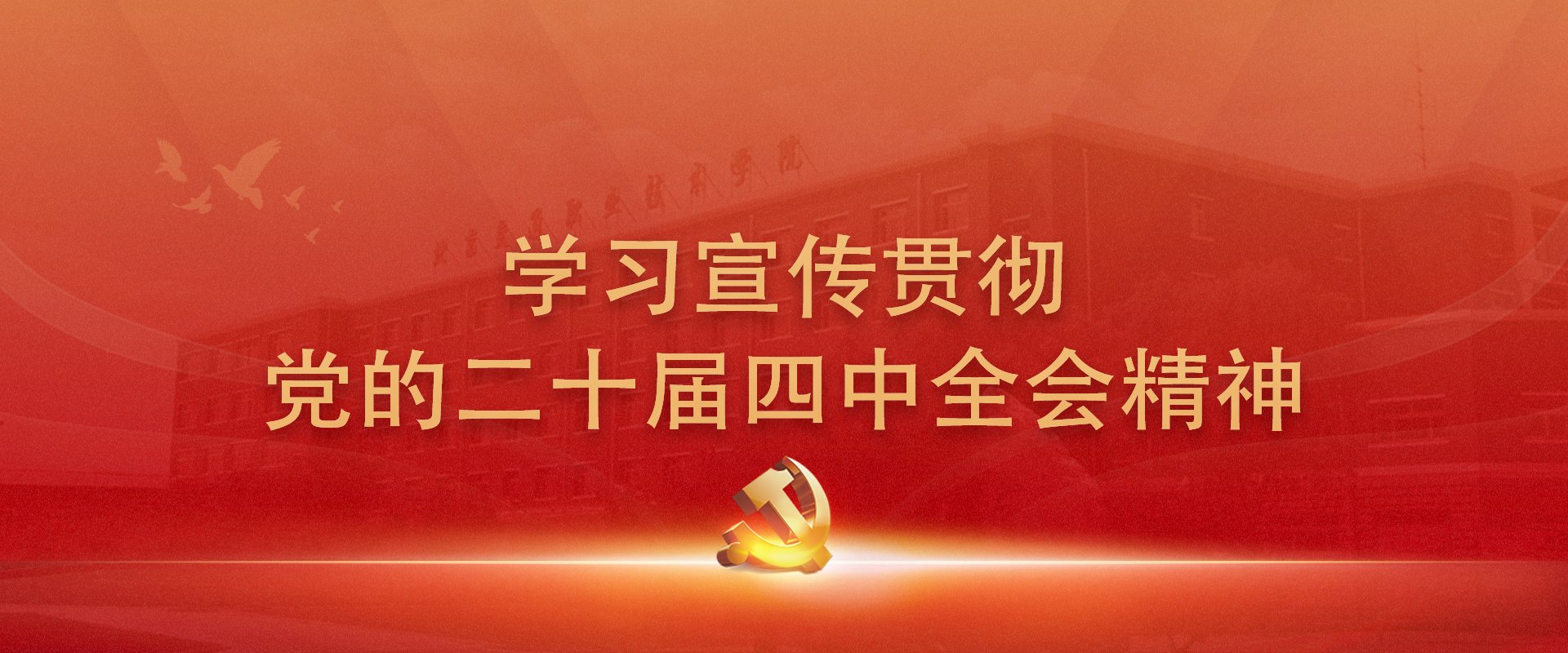 全面提升全校教师专业素养