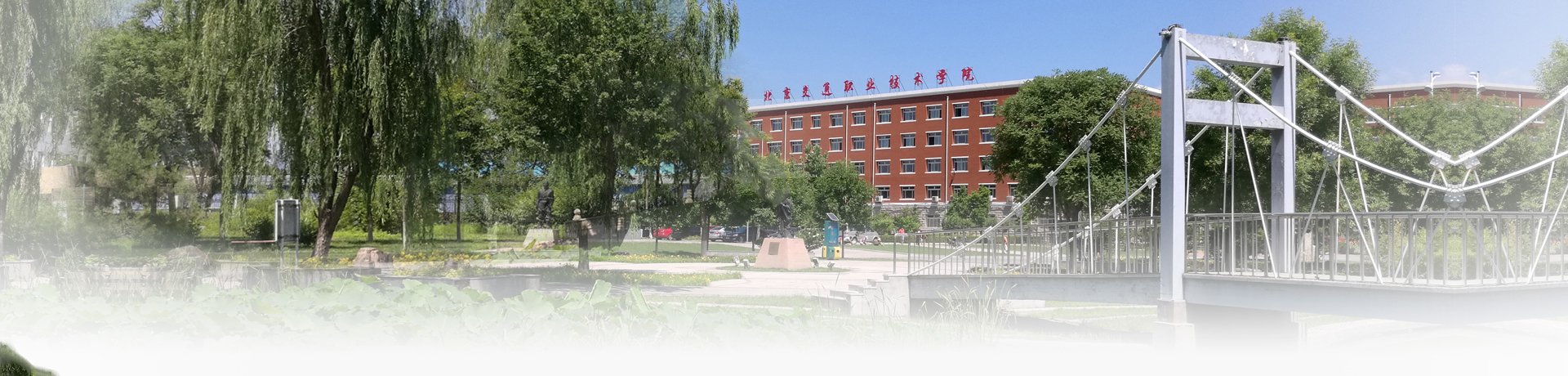 表彰在学校发展中涌现出的优秀个人和先
